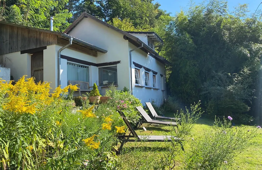 La Dependance De La Villa Des Oiseaux - La Petite Pierre-1